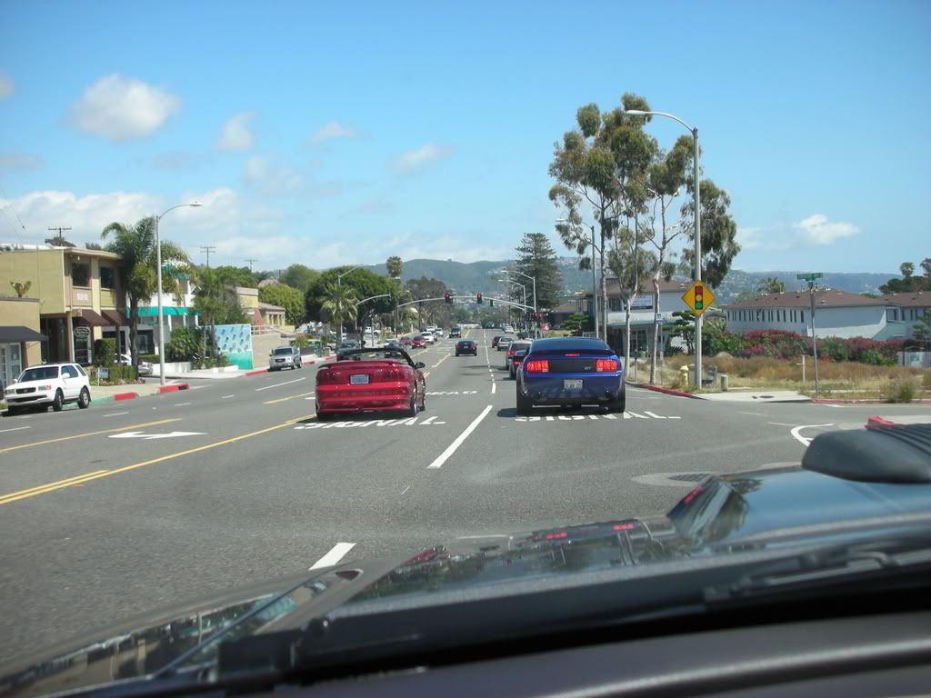 DSCN8176.jpg