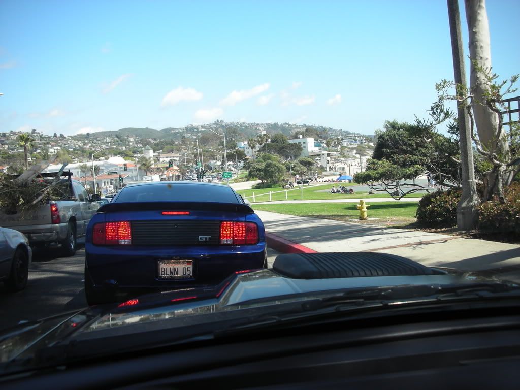 DSCN8181.jpg