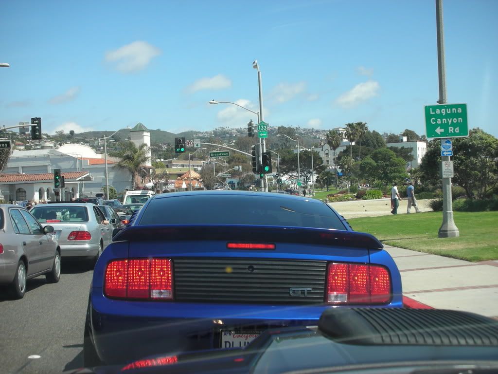 DSCN8183.jpg