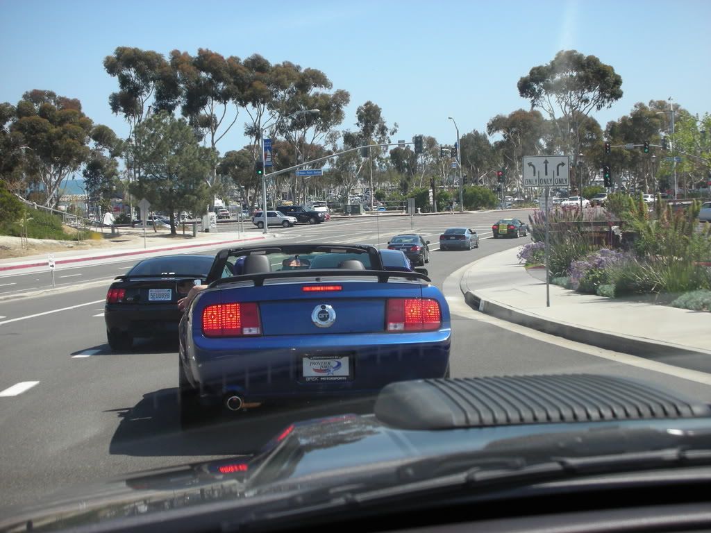 DSCN8199.jpg