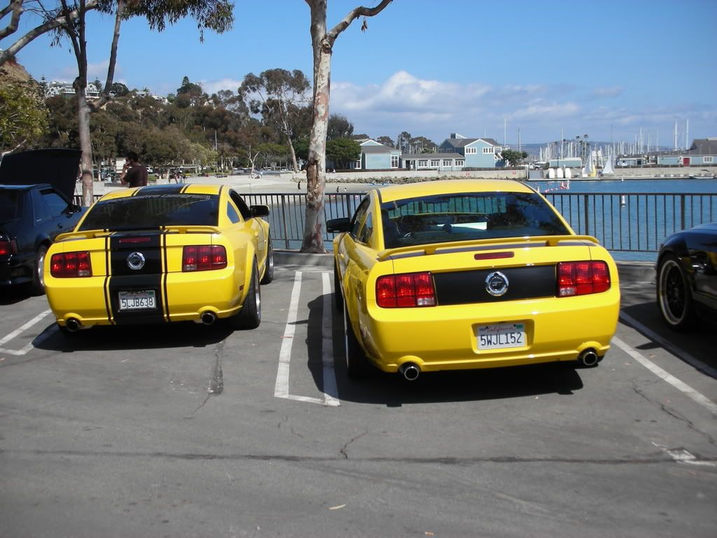 DSCN8209.jpg