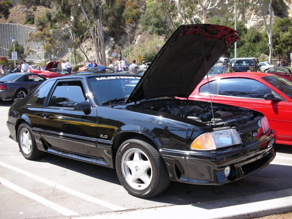 DSCN8215.jpg