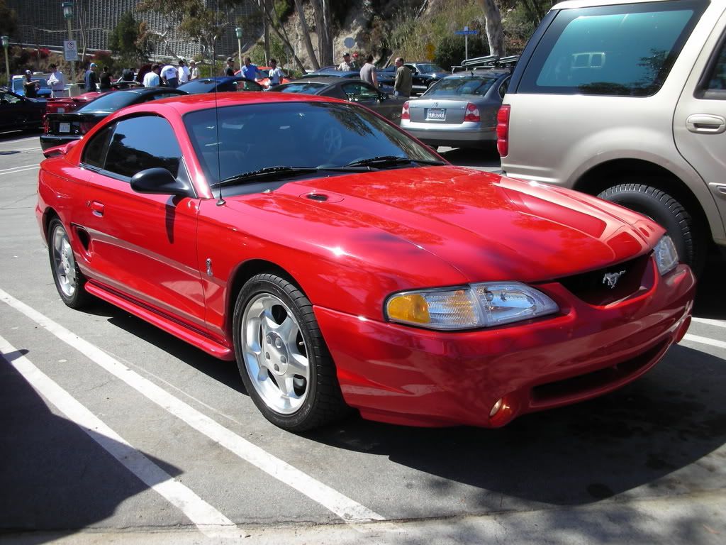 DSCN8216.jpg