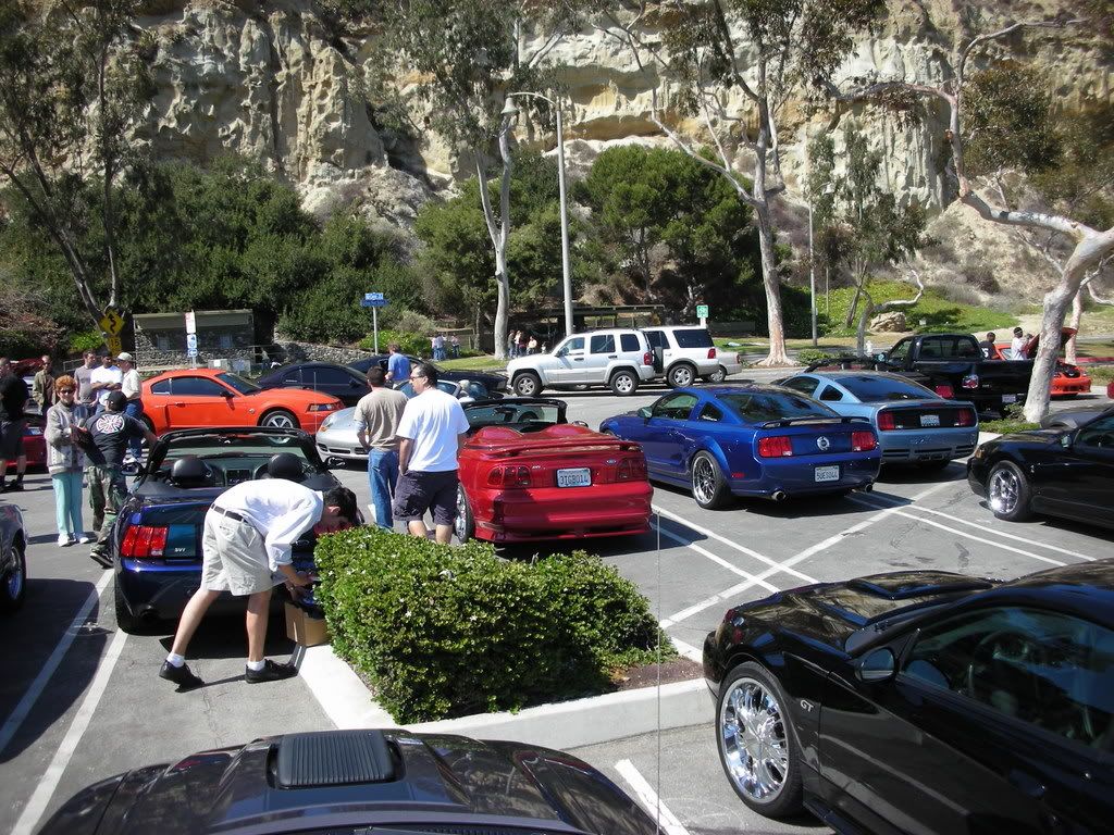 DSCN8218.jpg
