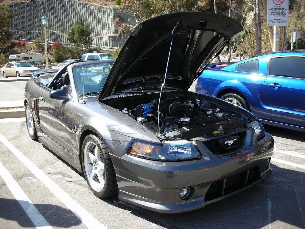 DSCN8223.jpg