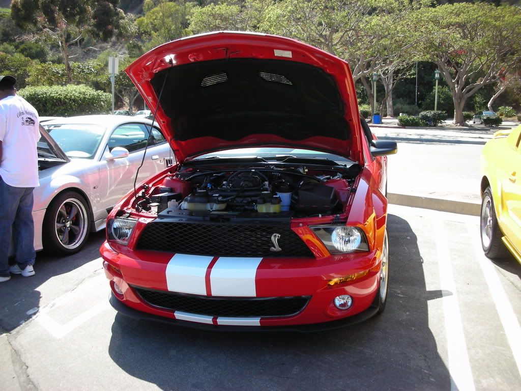 DSCN8224.jpg