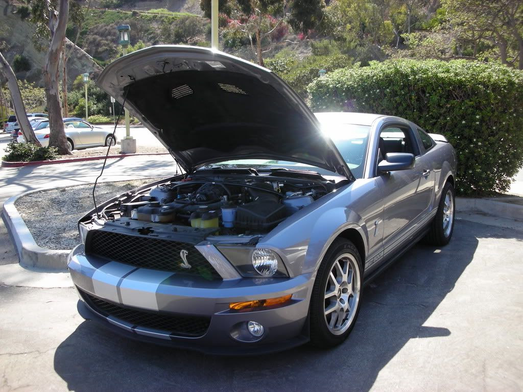 DSCN8225.jpg