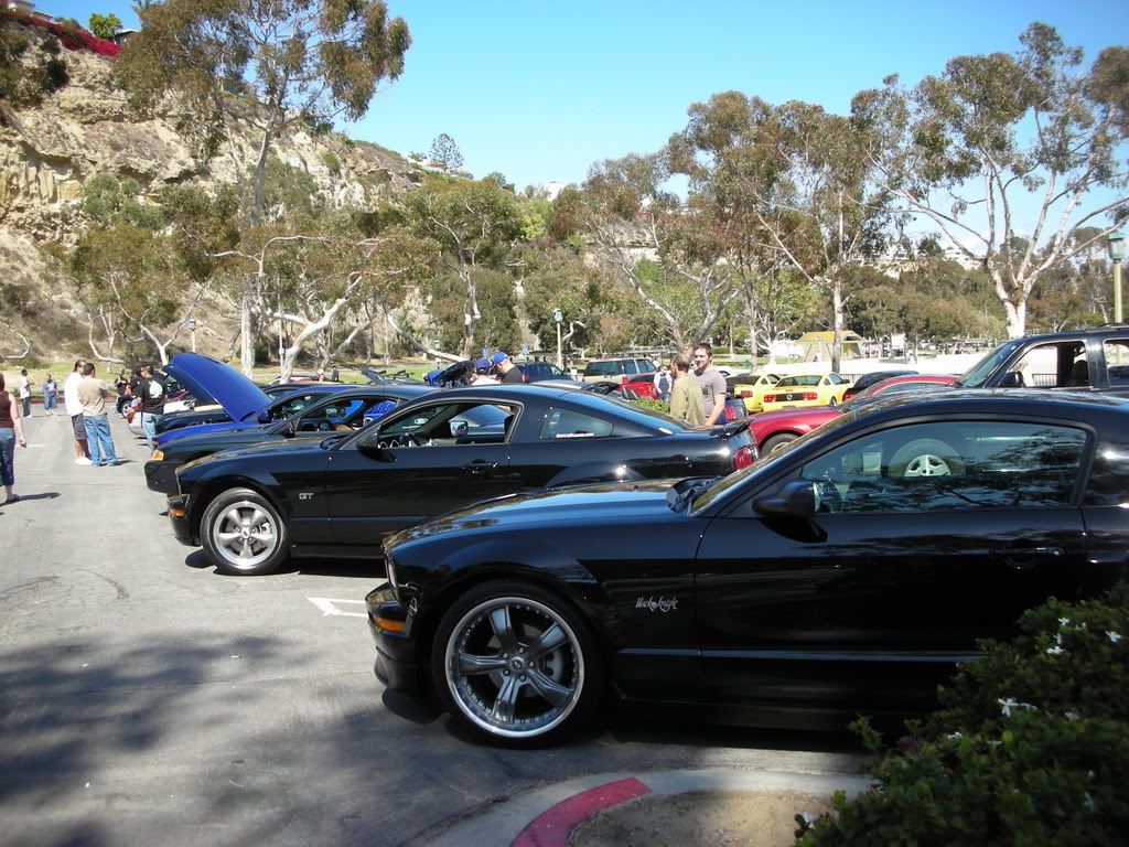 DSCN8227.jpg