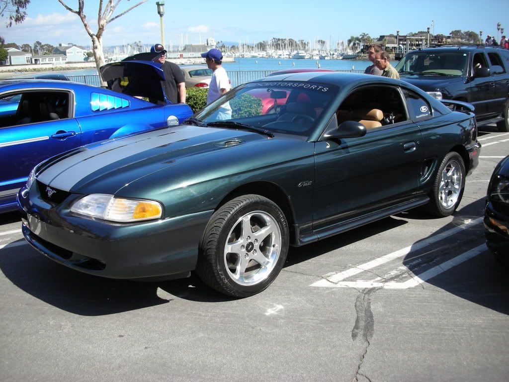 DSCN8229.jpg