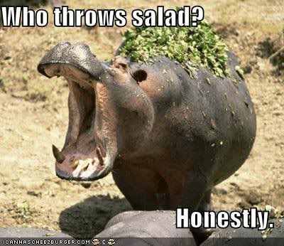 lol hippo- throw salad