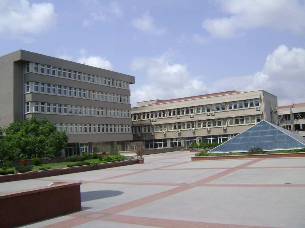 DSC01411.jpg