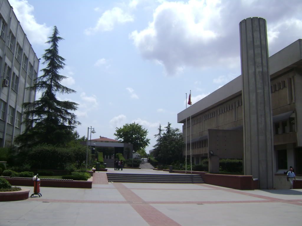DSC01414.jpg