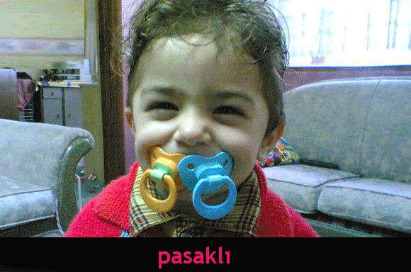 pasakl.gif