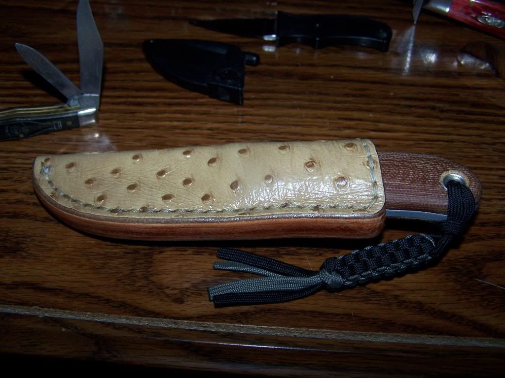 [Linked Image from i167.photobucket.com]