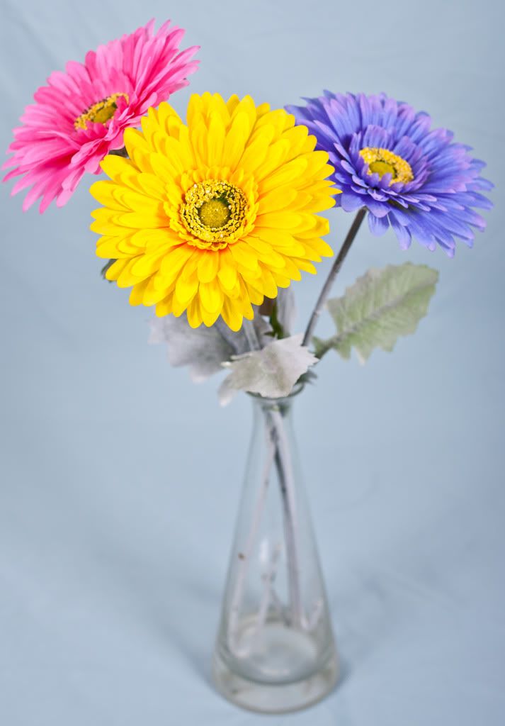 IMAGE: http://i167.photobucket.com/albums/u152/the_flying_moose/IMG_2193.jpg