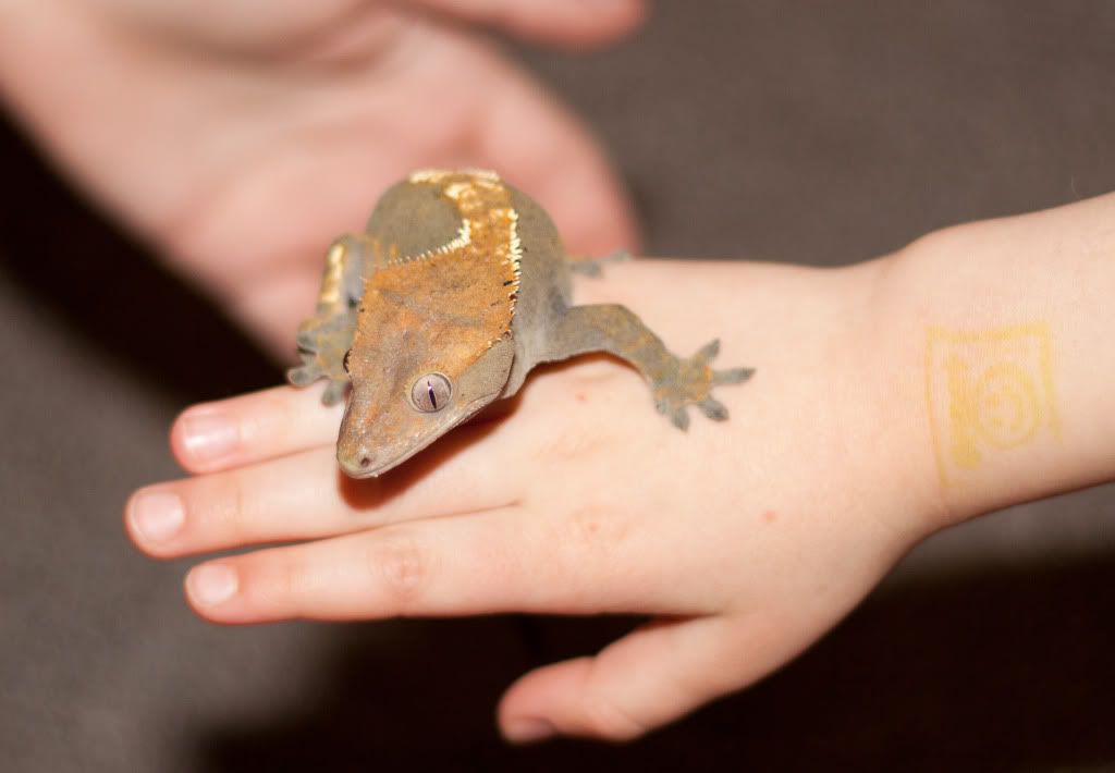 IMAGE: http://i167.photobucket.com/albums/u152/the_flying_moose/IMG_2536.jpg