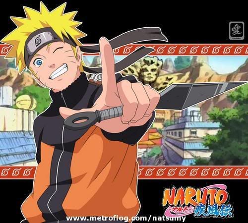 Naruto Shippuuden 14