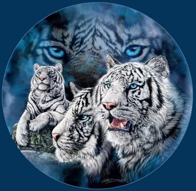 ~ PROTECTING ~ YOU ~ The Investigation To Secure My Nation Foundation ~