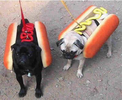 hotdogs.jpg
