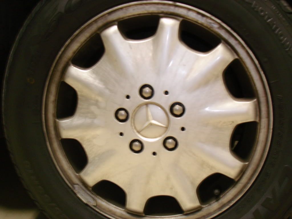 DSC00130.jpg