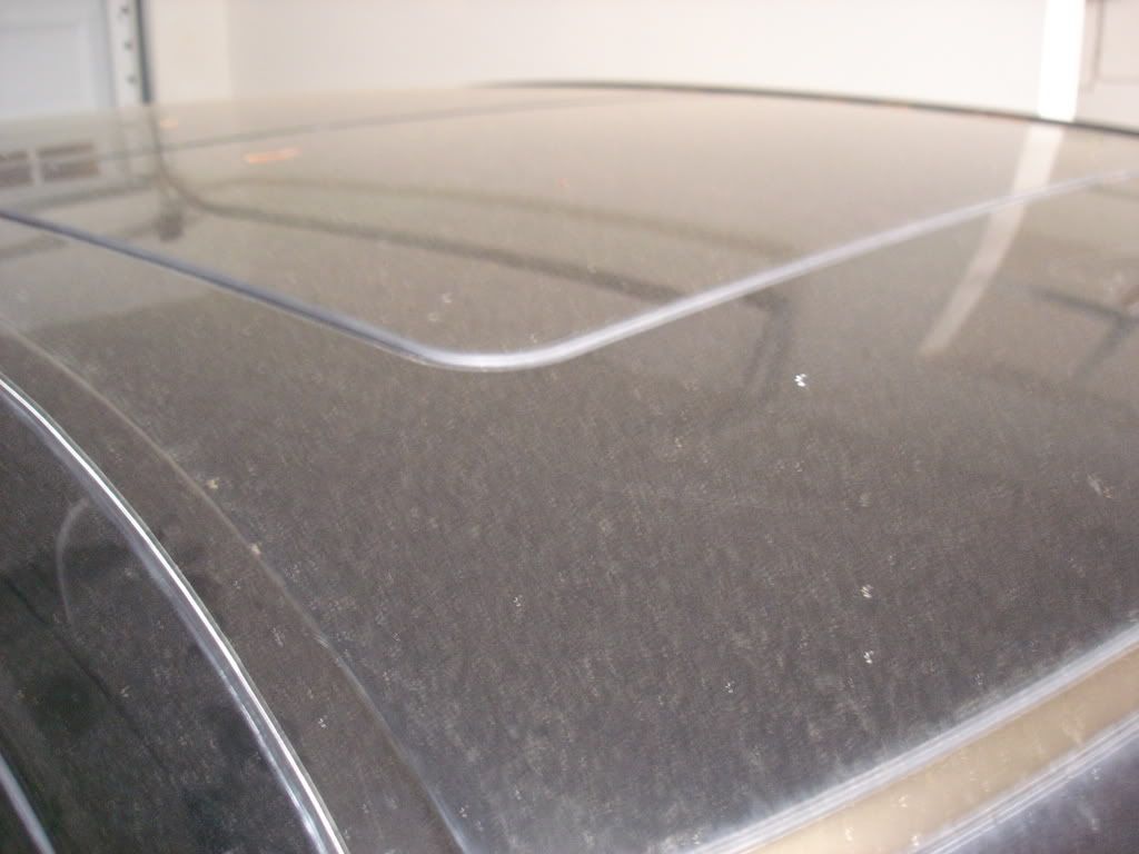 DSC00139.jpg