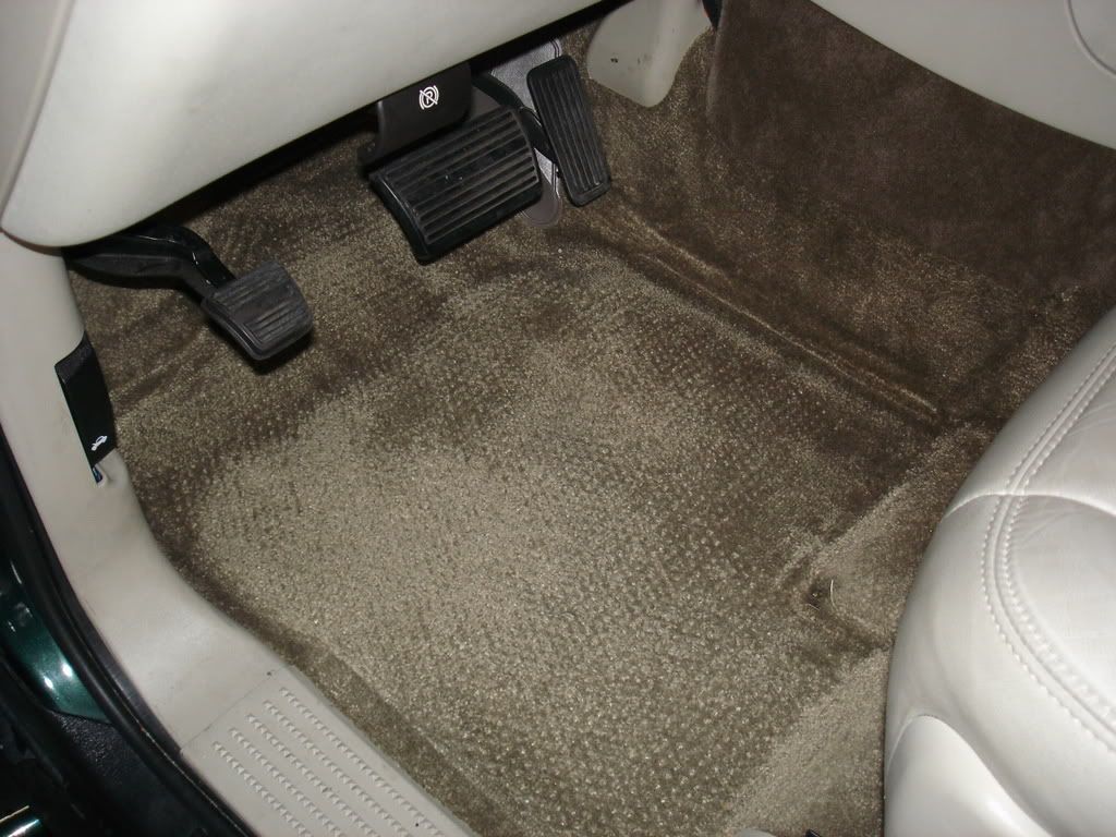 DSC00176.jpg