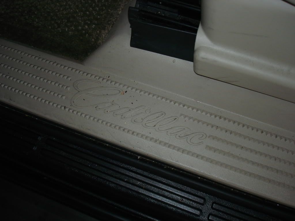 DSC00177.jpg