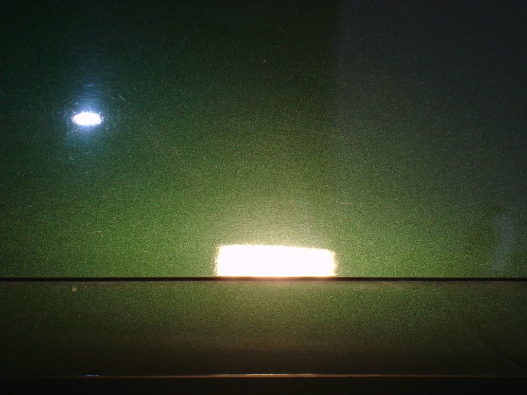 DSC00193.jpg