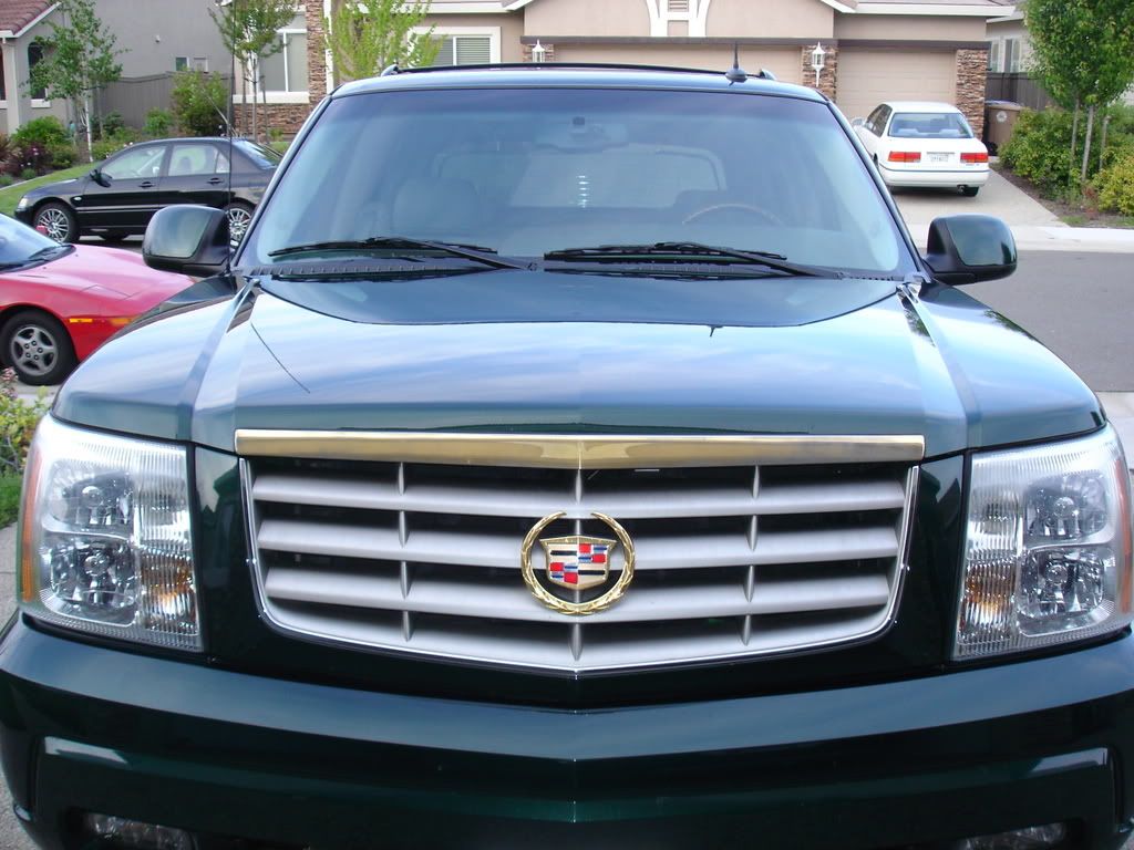 DSC00211.jpg
