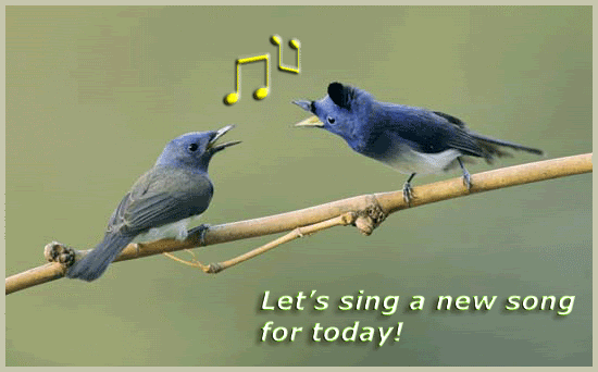 singing-birds_sing-a-new-song_zpsd056e89e.gif