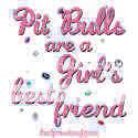 PIT BULL Pictures, Images and Photos