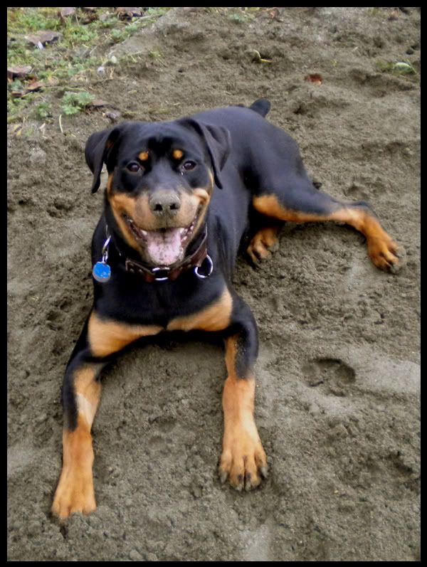 Jango Dirty Boy