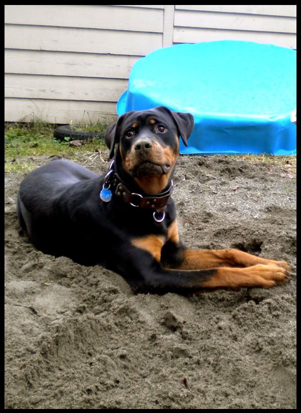 Jango Dirty Boy 2