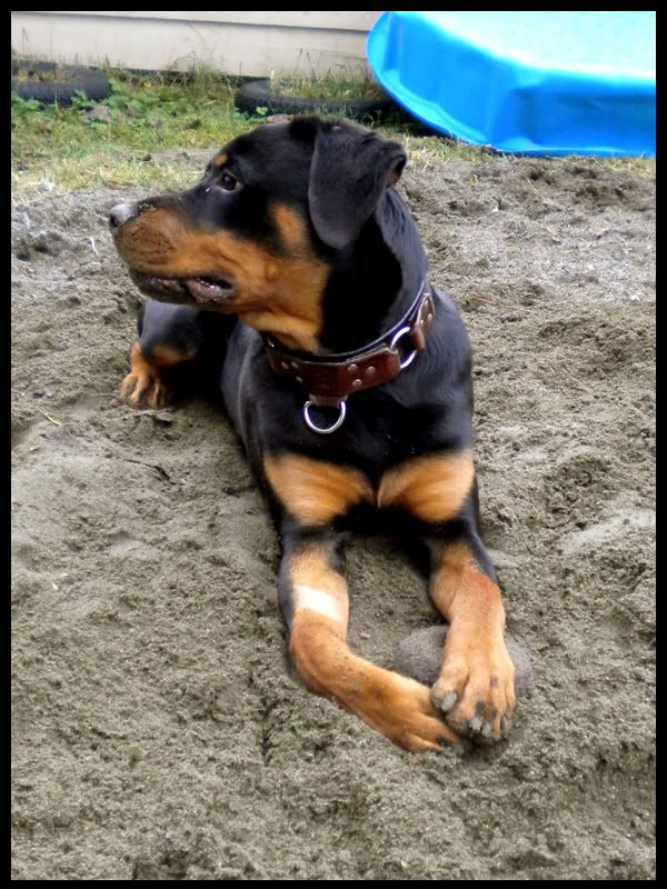 Jango Dirty Boy 3