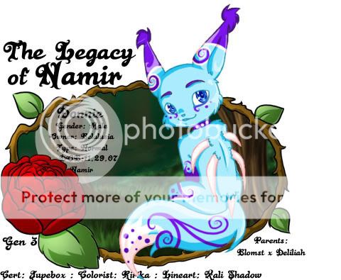 User Image