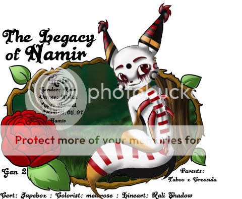 User Image