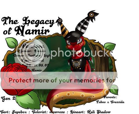 User Image