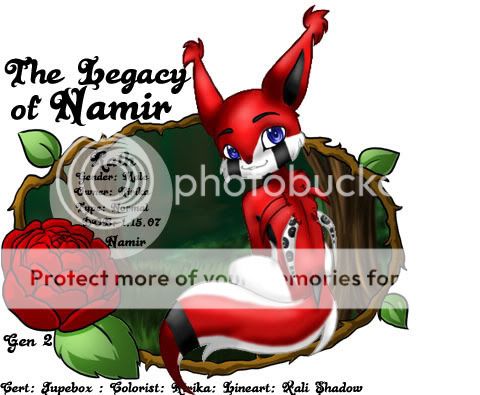 User Image