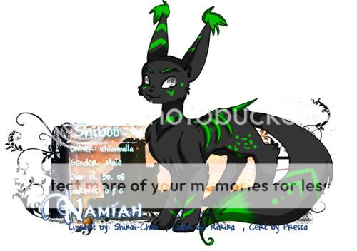 User Image