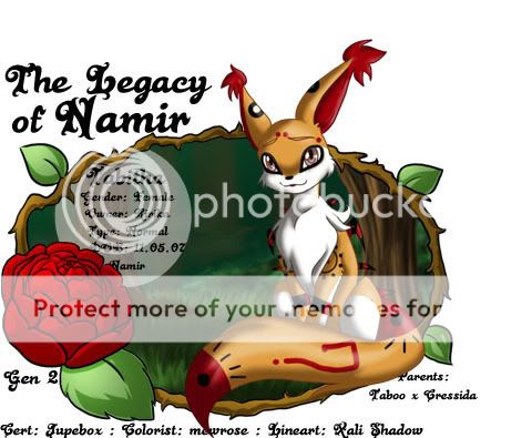 User Image