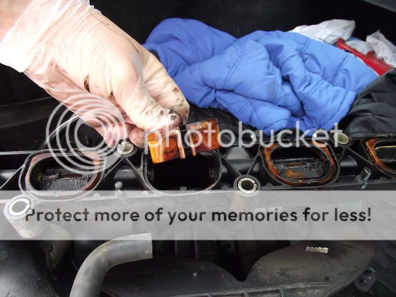 Ford mondeo inlet manifold removal #9