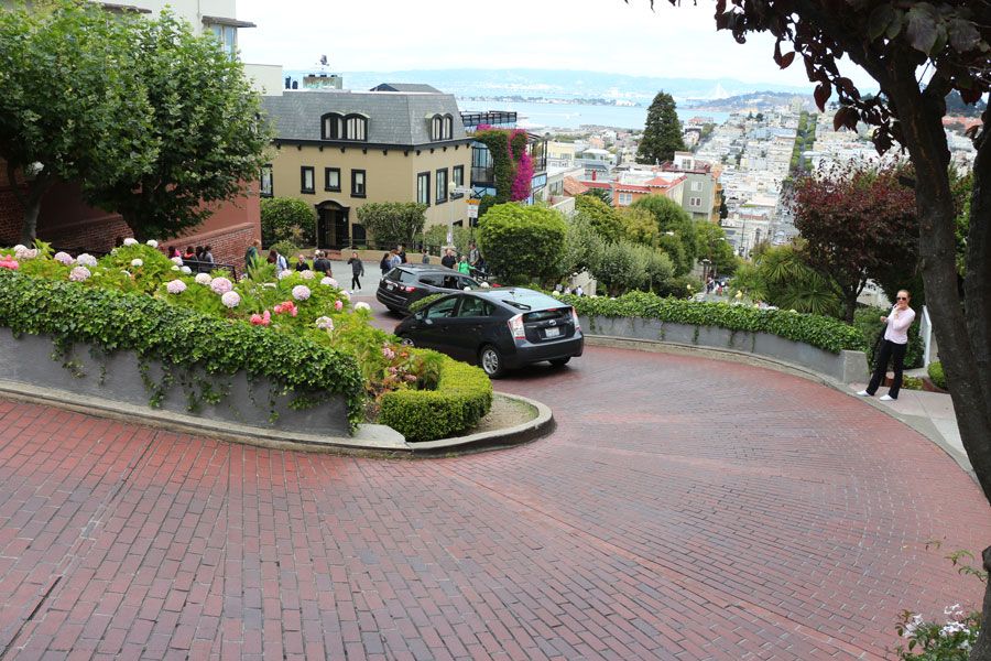photo IMG_0781.jpg