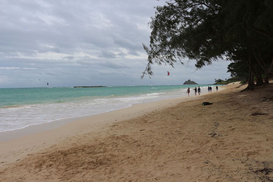 photo IMG_2902.jpg