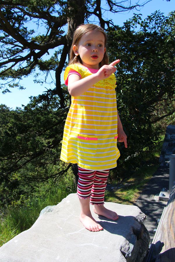 photo IMG_2332_zps1d3a6d55.jpg