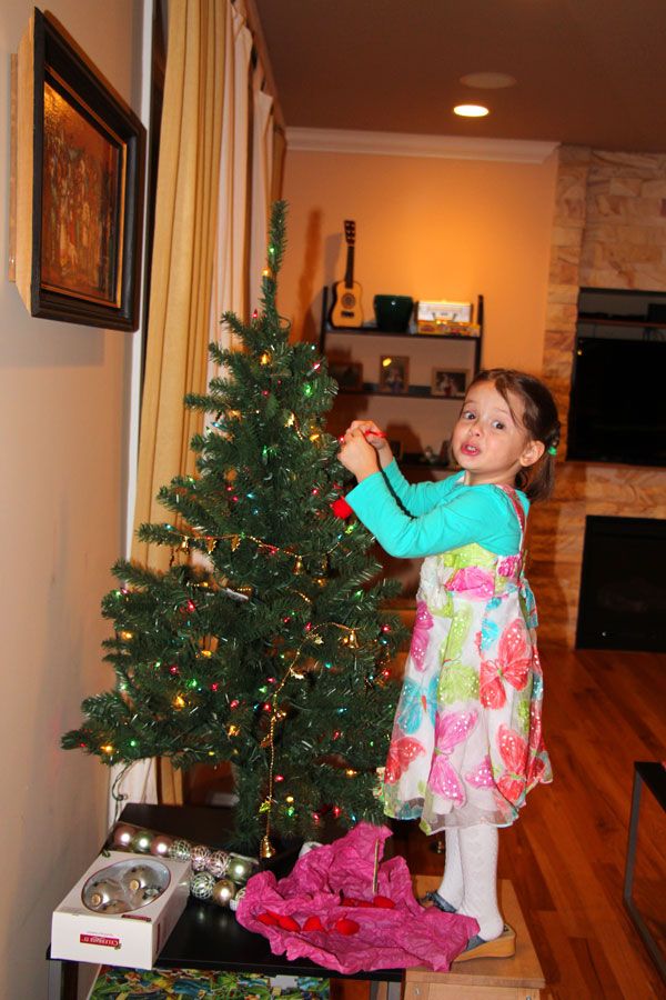 photo IMG_7334.jpg