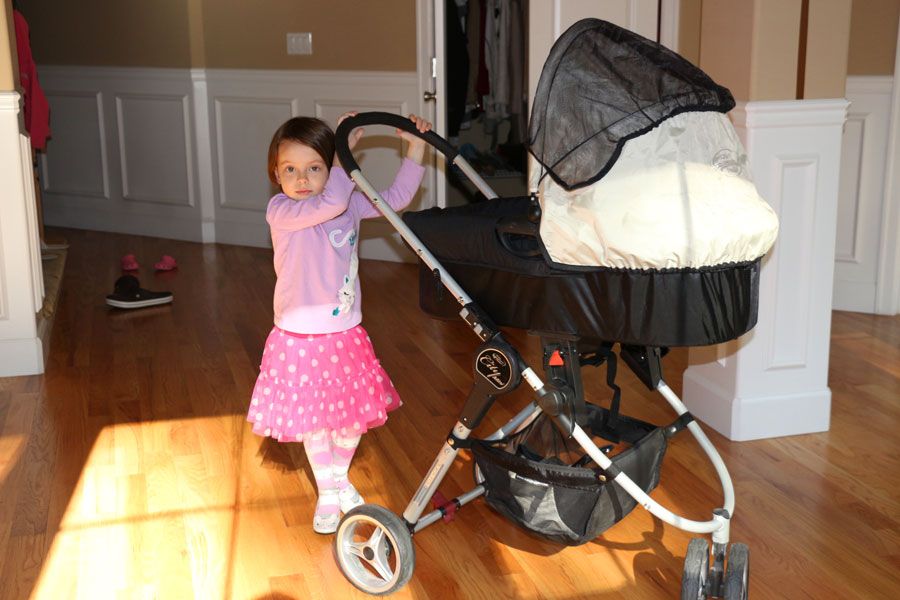 photo IMG_8330.jpg