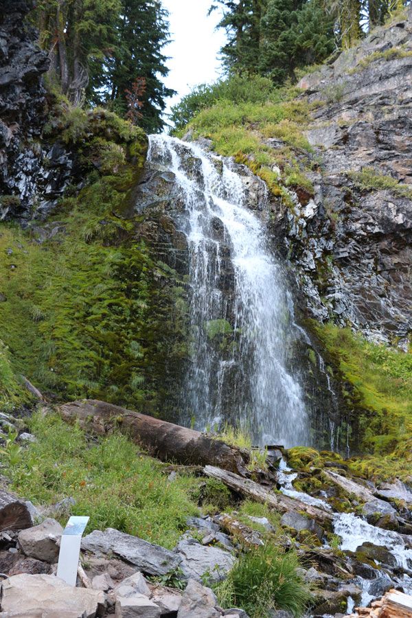 photo IMG_1509.jpg