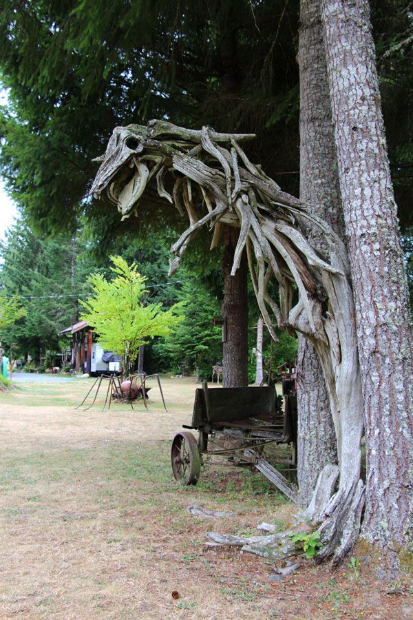 photo IMG_5698.jpg