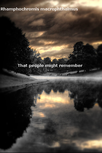 https://i167.photobucket.com/albums/u155/UnlimitedDeath/3.png